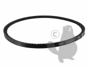 Courroie moteur boite