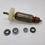 Rotor 166.1mm 1100W