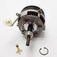 Moteur électrique Tronçonneuse GARDENSTAR Voltage 40V