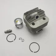 Cylindre piston (kit) GARDENSTAR
