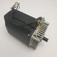 Moteur électrique (kit) Voltage 240V 1250W