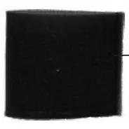 Filtre Mousse pour Aspirateur PARKSIDE – Haute Performance et Polyvalence