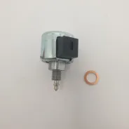 Kit de réparation de carburateur BRIGGS & STRATTON