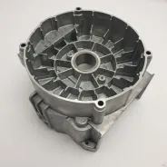 Carter d'origine RYOBI 5131042071