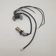 Bobine d'allumage Groupe électrogène FEIDER