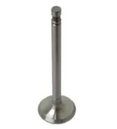 Soupape d'échappement Fiat Someca moteur Iveco 4579417