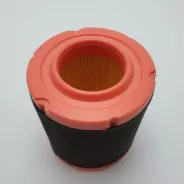 Filtre à air d'origine pour MTD 737-05075
