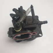 Carburateur Moteur, Tondeuse BRIGGS & STRATTON, MAC ALLISTER, TITAN d'origine