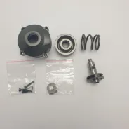 Percussion (kit) d'origine FEIDER