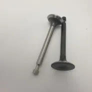 Soupapes (kit) d'origine