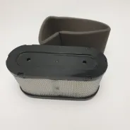 Filtre à air d'origine pour Tondeuse BESTGREEN BESTGREEN