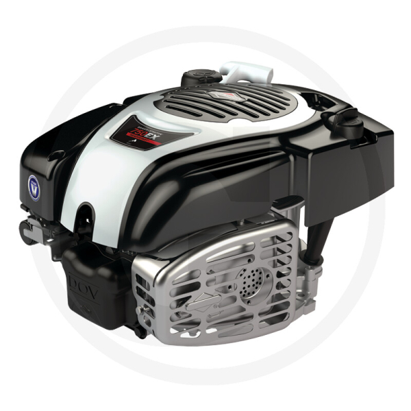 Moteur d'origine BRIGGS & STRATTON