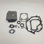 Pochette de joints d'origine GO/ON