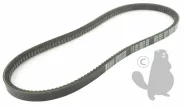 Courroie 1227mm