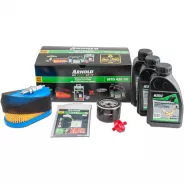 Entretien pour moteur (kit) ARNOLD 9100-X2-1006