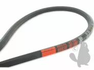 Courroie hexagonale bb100