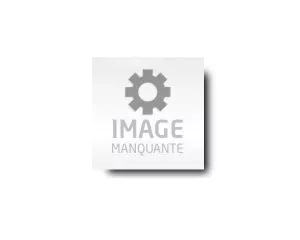 Marteau perforateur