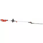 Taille haies sur perche Grizzly EHS 900 L