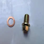 Bouchon de vidange SANLI