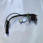 Bobine d'allumage Groupe électrogène SANLI