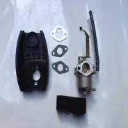 Carburateur Groupe électrogène SANLI