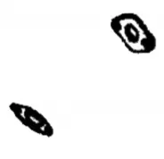 Joint d'échappement RACING