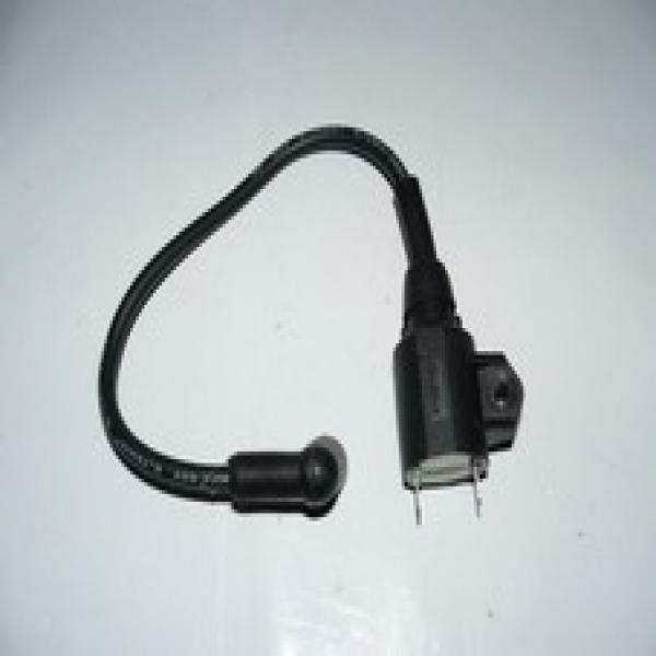 Bobine d'allumage Groupe électrogène SANLI