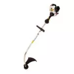 coupe-bordure Ryobi PLT3043E