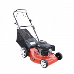 Tondeuse thermique 173 cm³