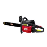 Tronçonneuse thermique