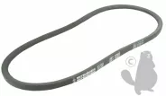 Courroie 813mm MITSUBOSHI