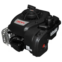 Moteur thermique Briggs Série 300E