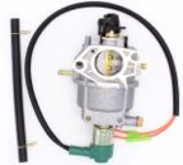 Carburateur complet adaptable 192F WITH SELONOID AND AUTO CHOKE