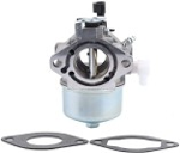 Carburateur complet adaptable BRIGGS & STRATTON 699831 694941 499158 FOR 28D700 28 M700 28R700 28T700 28 V700
289700 283702 283707 284702