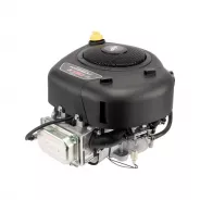 Moteur complet Moteur BRIGGS & STRATTON d'origine