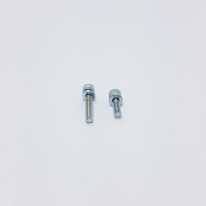 vis insert x2 16203000 Pièce détachée SWAP-europe.com