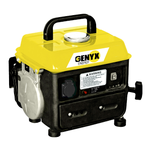 Portable petrol generator G800-2 SWAP-europe.com