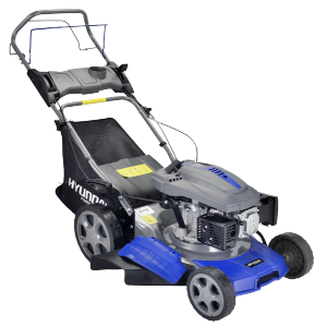 Petrol lawn mower 118 cm³ 42,5 cm HTDT4218 SWAP-europe.com