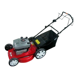 Petrol lawn mower RAC51BS675 SWAP-europe.com