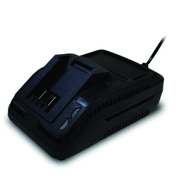 Chargeur batterie 20V 18120001 Pièce détachée SWAP-europe.com
