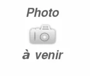 Poignee auxiliaire pour deltafox dp eid 9030 - ref : 91105786